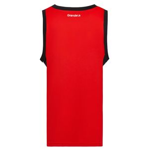 CAMISETA BASQUET HOMBRE ADIDAS RIVER PLATE