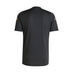 REMERA-FUTBOL-HOMBRE-ADIDAS-AFA-PRESHI