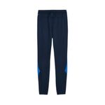 PANTALON-FUTBOL-HOMBRE-PUMA-KING-PRO