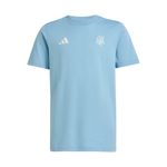 REMERA-FUTBOL-NIÑO-ADIDAS-AFA-50-ANIVERSARIO
