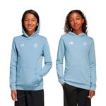 BUZO-FUTBOL-NIÑO-ADIDAS-AFA-50-ANIVERSARIO