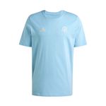 REMERA-FUTBOL-HOMBRE-ADIDAS-AFA-ANIVERSARIO-50-AÑOS