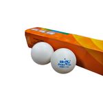 PELOTAS-PINGPONG-FISH-X6
