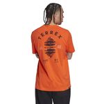REMERA-URBANA-HOMBRE-ADIDAS-TERREX-MOUNTAIN-LANDSCAPE