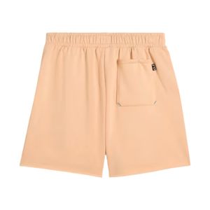 SHORT BASQUET HOMBRE PUMA ANCIENT ROARS TERRY