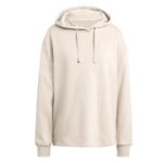BUZO-OUTDOOR-MUJER-ADIDAS-TERREX-LOGO-HOODY