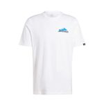 REMERA-OUTDOOR-HOMBRE-ADIDAS-TERREX-BACK-GFX