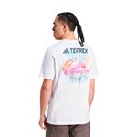REMERA-OUTDOOR-HOMBRE-ADIDAS-TERREX-BACK-GFX