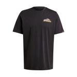 REMERA-OUTDOOR-HOMBRE-ADIDAS-TERREX-BACK-GFX