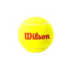 TUBO-RIVER-PLATE-TENNIS-WILSON