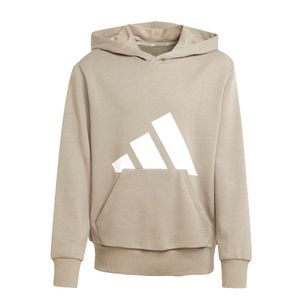 CONJUNTO URBANO NIÑO ADIDAS ESSENTIALS CAPUCHA
