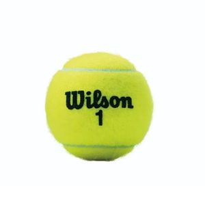 TUBO PELOTAS WILSON CHAMPION DUTY
