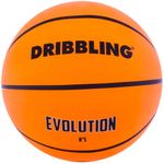PELOTA-BASKET-EVOLUTION-5