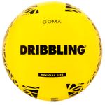 PELOTA-VOLLEY-GOMA-LISA