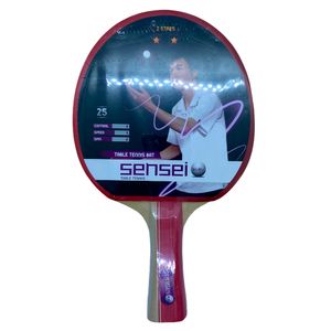 PALETA PING PONG SENSEI 2 STAR