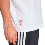 REMERA-FUTBOL-HOMBRE-ADIDAS-RIVER-PLATE-GRAFICA-25−26