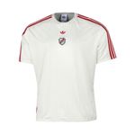REMERA-FUTBOL-HOMBRE-ADIDAS-RIVER-PLATE-TERRACE-ICONS
