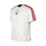 REMERA-FUTBOL-HOMBRE-ADIDAS-RIVER-PLATE-TERRACE-ICONS