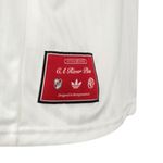 REMERA-FUTBOL-HOMBRE-ADIDAS-RIVER-PLATE-TERRACE-ICONS